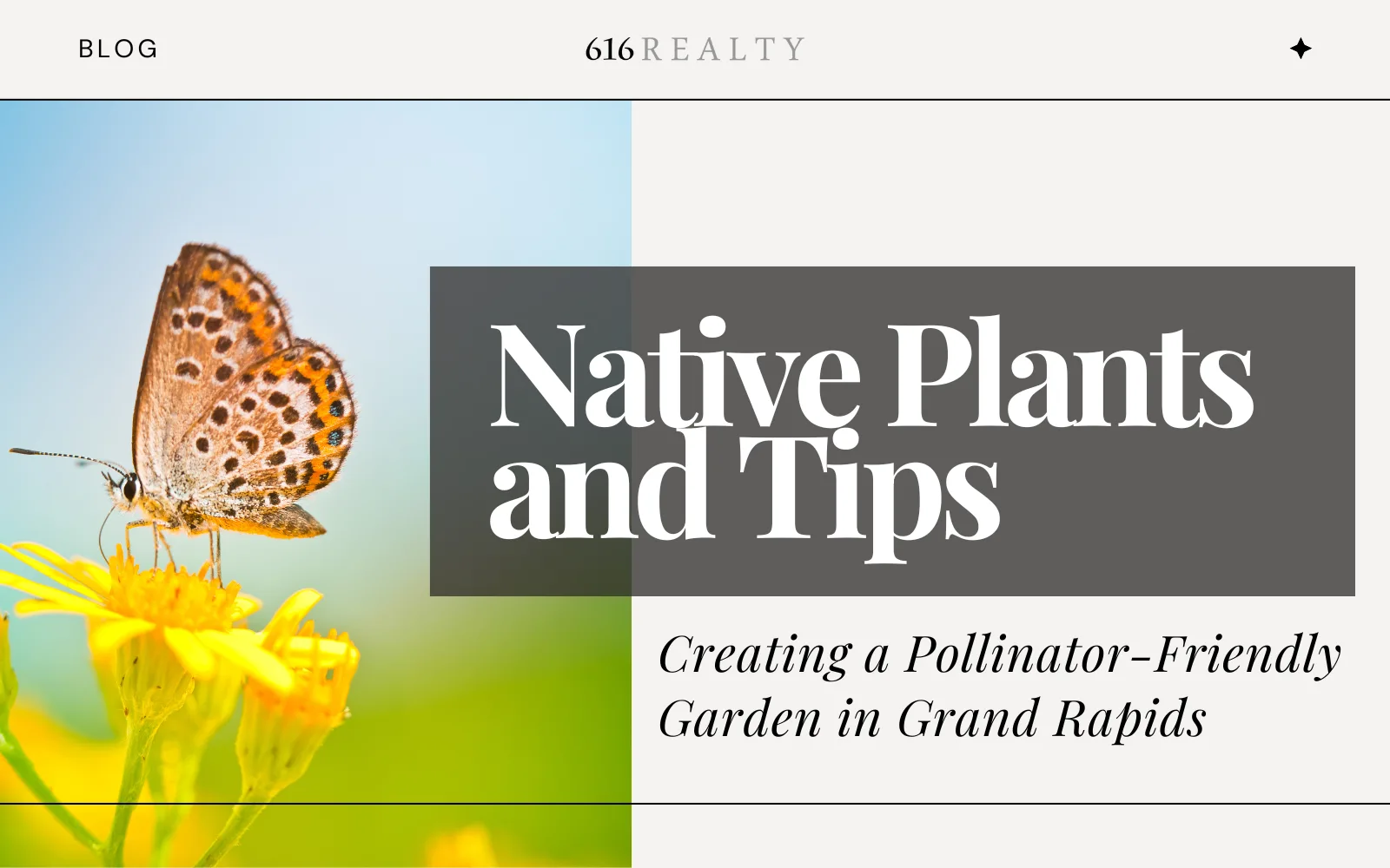 Creating-a-Pollinator-Friendly-Garden-in-Grand-Rapids-Native-Plants-and-Tips-2 | 616 REALTY