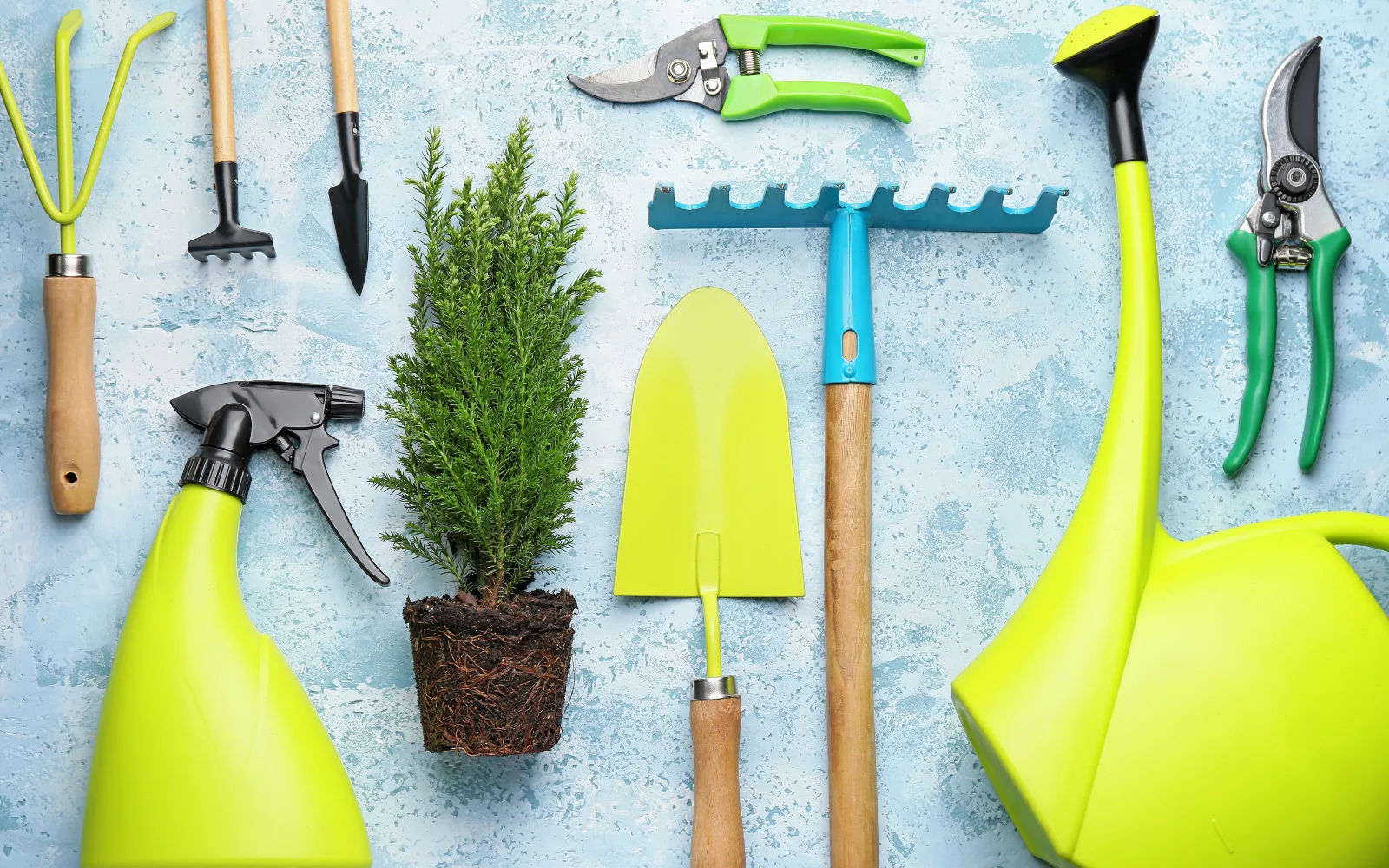 Essential-Garden-Tools | 616 REALTY