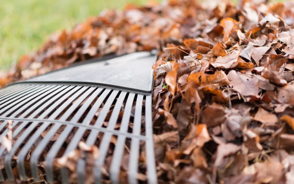 Fall-Landscaping-4-1024x640 | 616 REALTY