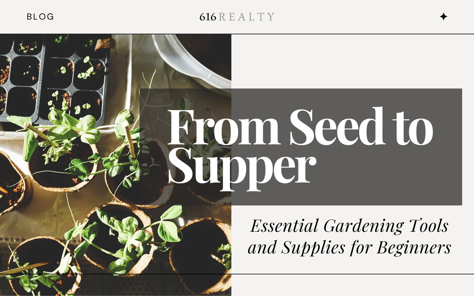From-Seed-to-Supper | 616 REALTY