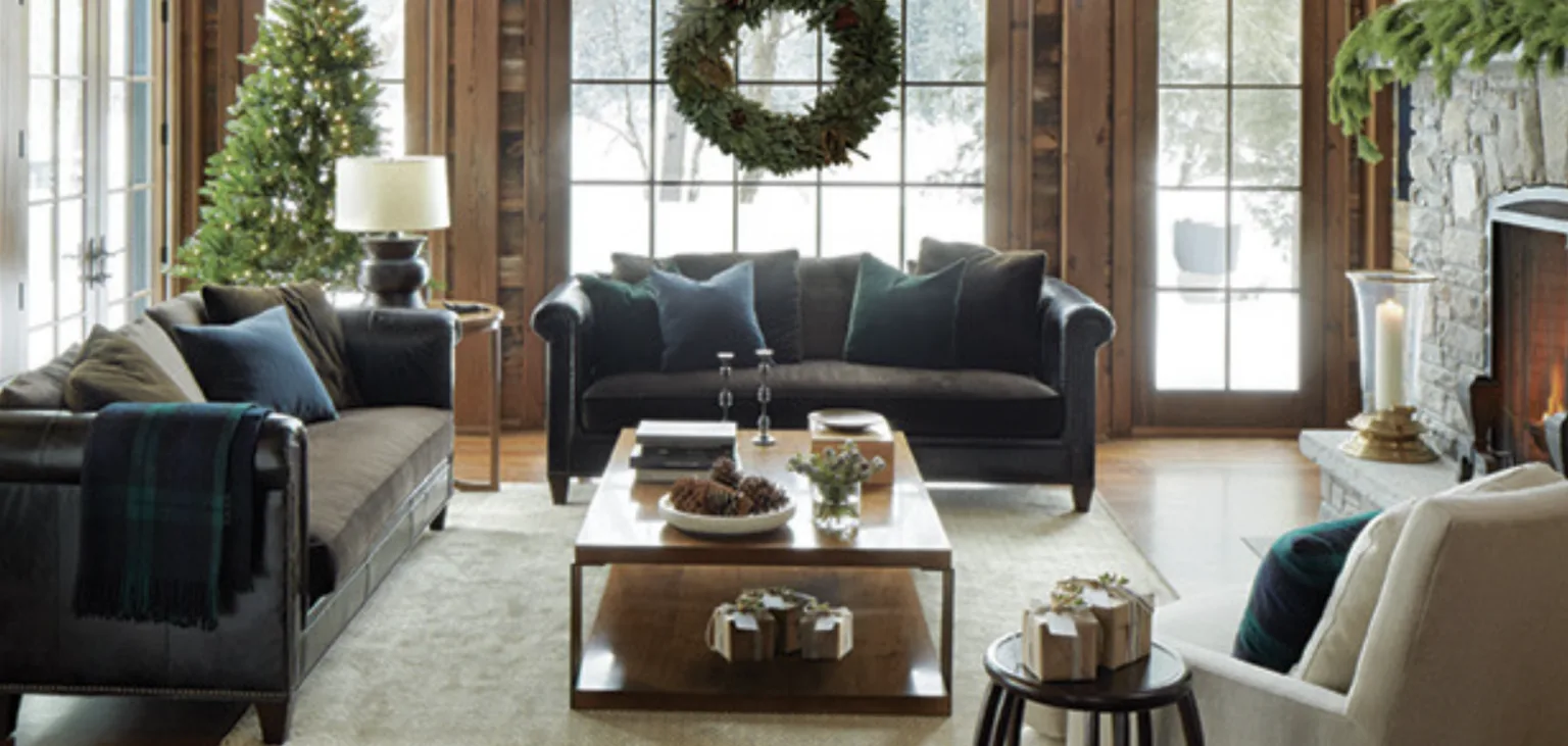 Modern cozy living room